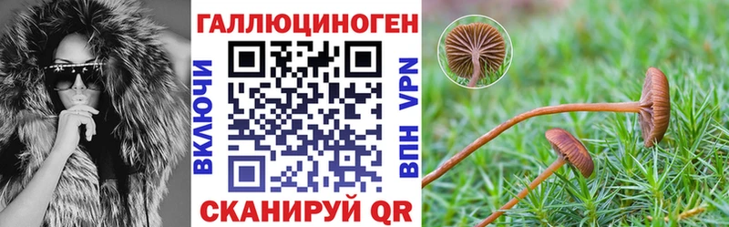 Купить закладки  Абдулино  Галлюциногенные грибы прущие грибы 